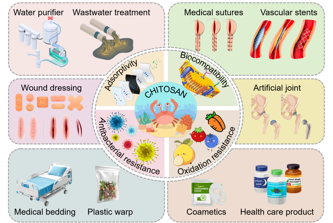 厦门理工学院李艳辉教授&刘璁博士Int. J. Biol. Macromol：壳聚糖纳米纤维的合成和应用研究